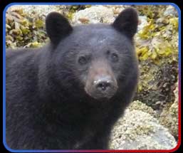 wildlife up close!