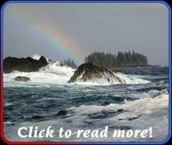 zodiac tours of whales