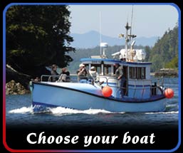 choose your boat